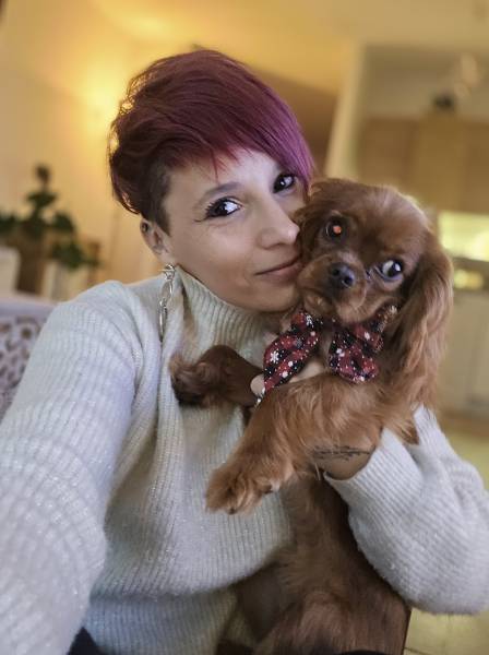 cavalier king charles dog angel toilettage