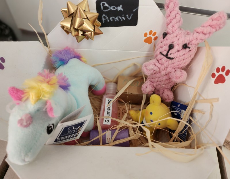 Box anniverssaire au salon de toilettage dog angel a Villeneuve-Loubet