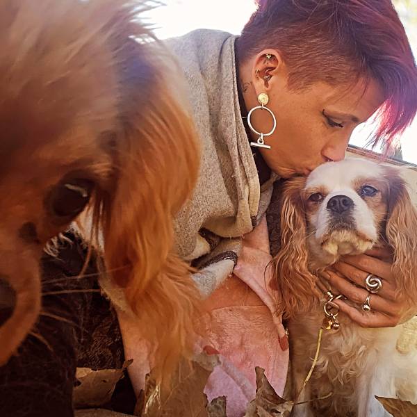 cavalier king charles dog Angel toilettage