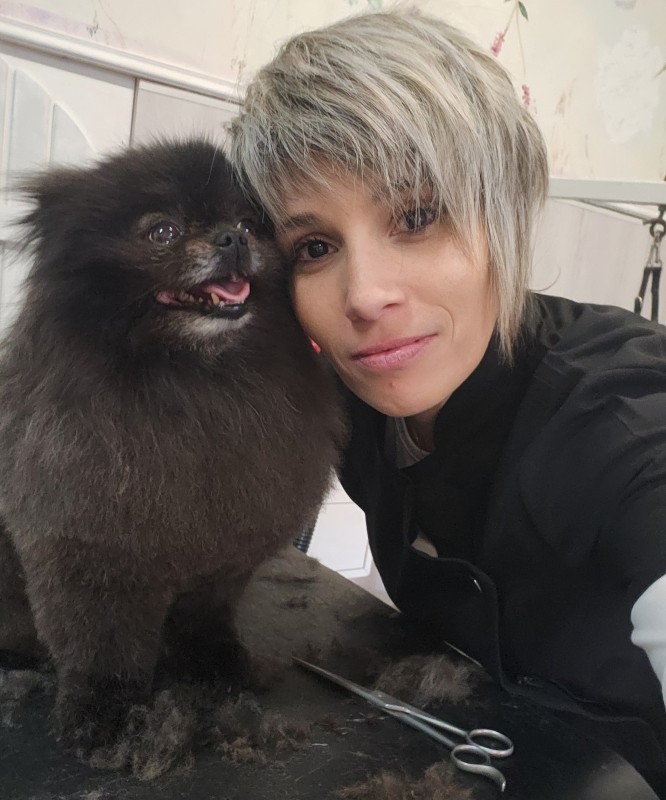 Reduction sur votre toilettage pour chien ou chat 