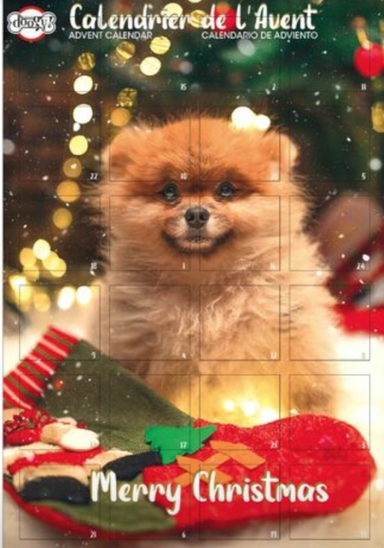 Calendrier de l'avent dans votre salon dog angel toilettage prêt de cagnes sur mer dans les alpes maritime