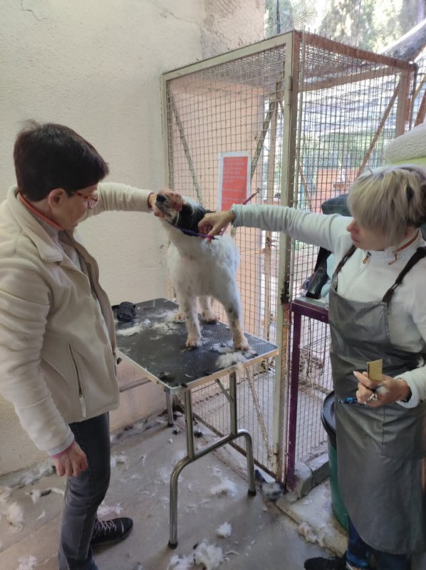 Association  Antibe Refuge jean duflot