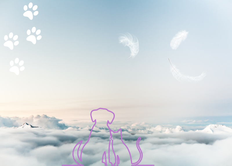 La coupe de griffes est gratuite dans votre salon Dog Angel toilettage a Villeneuve-Loubet