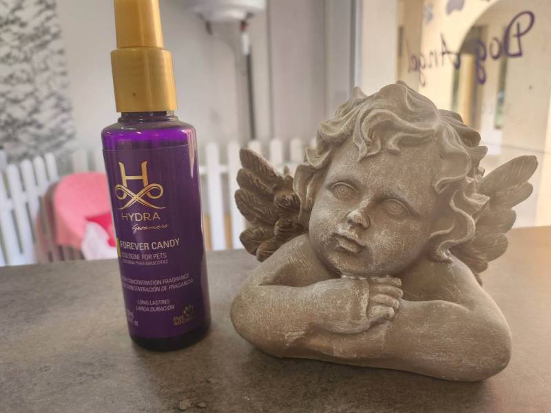 Votre salon de toilettage dog angel et vos cosmetiques a villeneuve loubet