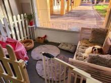 Salon de toilettage à Villeneuve-Loubet dans les Alpes-Maritimes