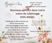 Salon de toilettage près de Cagnes-sur-Mer 06800